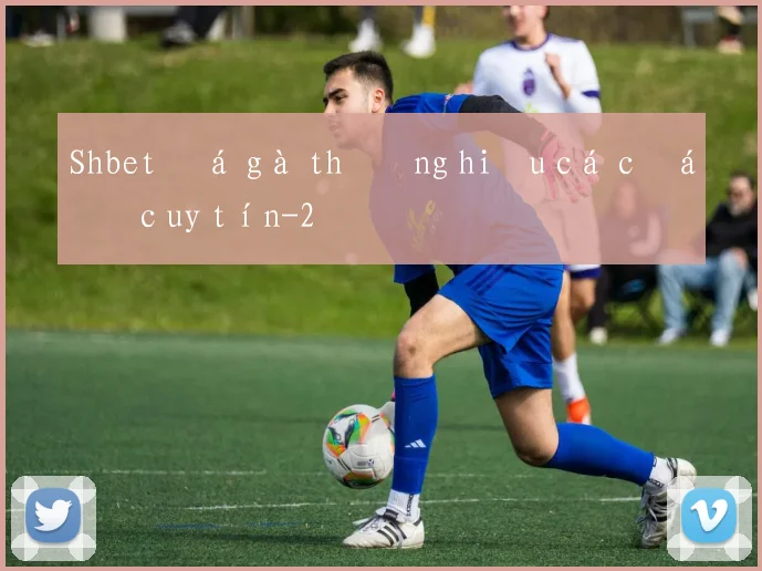Shbet đá gà thương hiệu cá cược uy tín